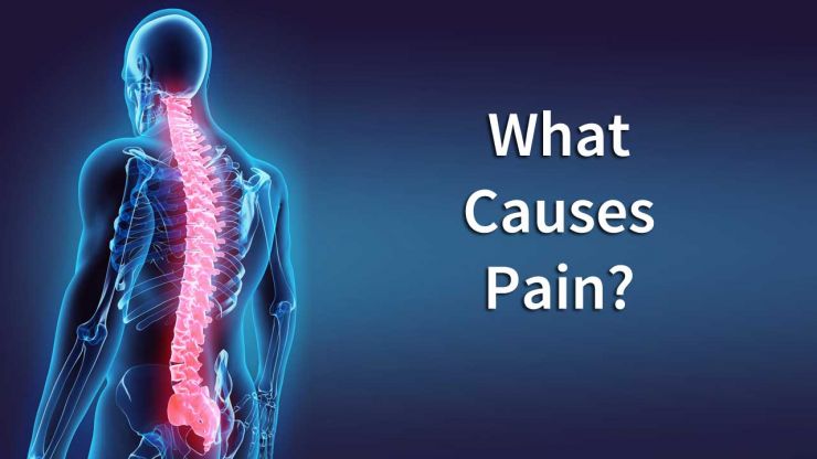 Back Pain: The Universal Language - What Causes My Spinal Pain?